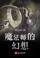 魔法师的幻想