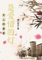 天上的星星是爱情的灯