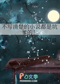 不寫清楚的小說都是坑爹的