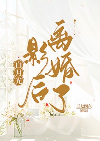 白月光影后離婚了