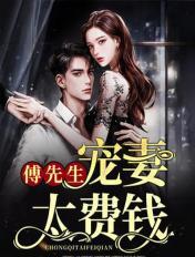 傅先生宠妻太费钱