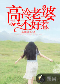 高冷老婆不好惹
