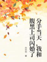 分手当天,我和腹黑上司闪婚了