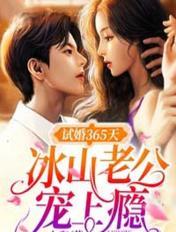 试婚365天：冰山老公宠上瘾