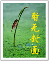 寻找前世之旅
