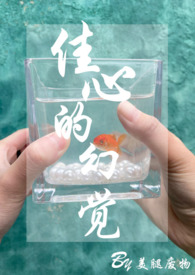 佳心的幻覺（1v1）（妓女和嫖客）