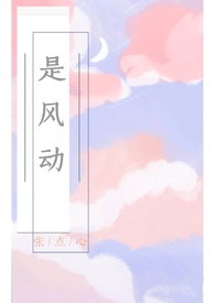 是风动（​​‍­­1‌­­v​​‎‌1‎‍­‌）