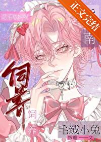 毛絨小兔飼養指南