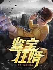 鉴宝狂婿