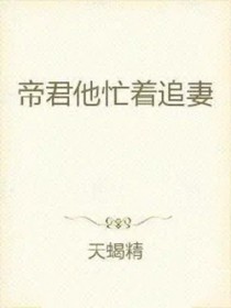帝君他忙著追妻