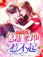 好孕成双，总裁爹地惹不起