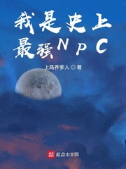 我是史上最强NPC