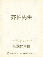 齐帕先生