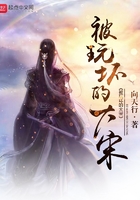 被玩坏的大宋