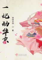一妃动华京