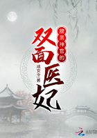 腹黑神官的双面医妃